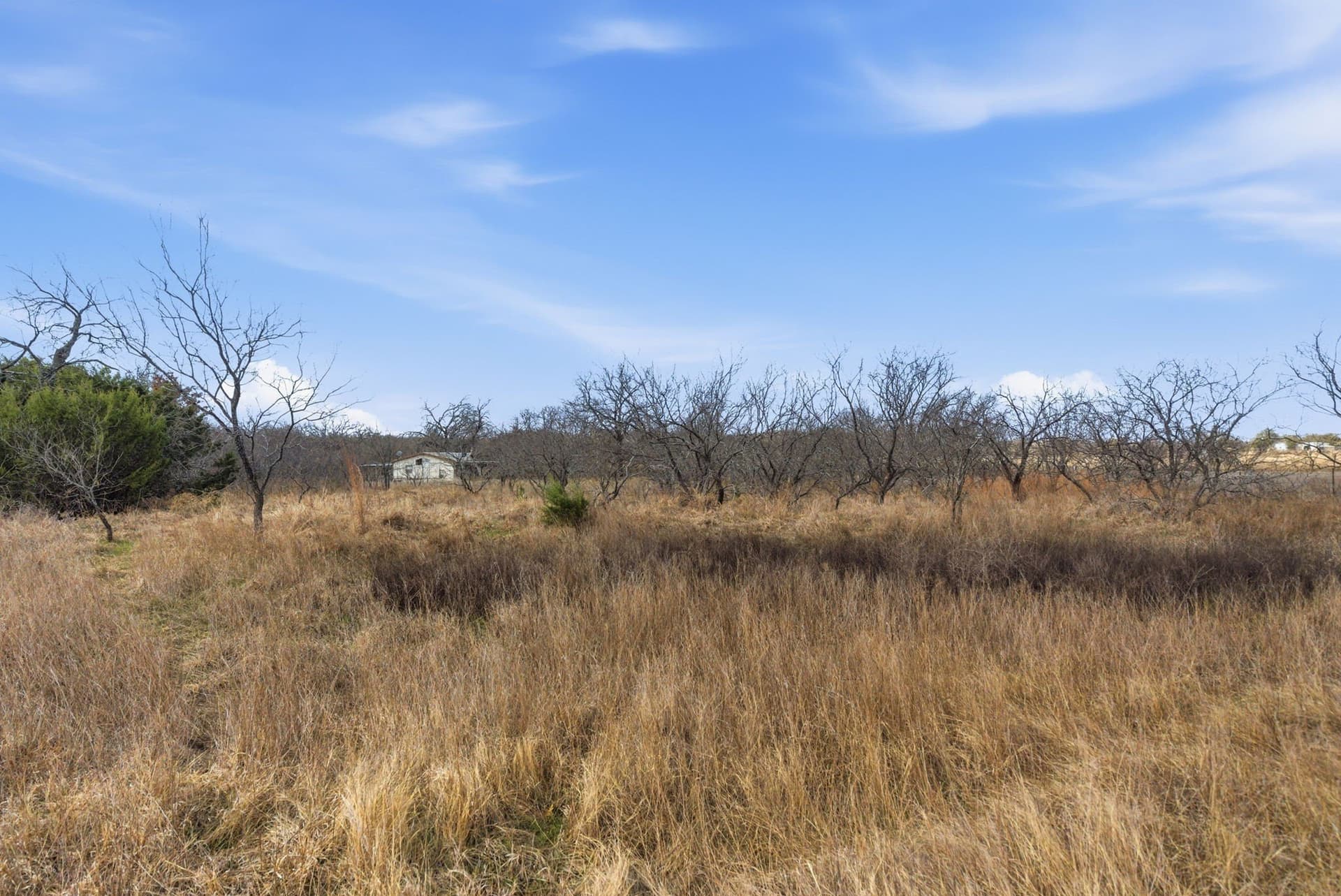 10 acres in Hood County - photo 8