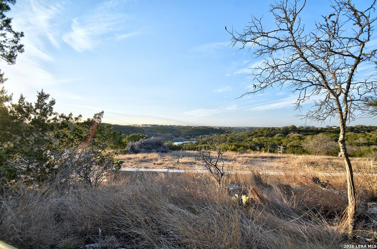 10.01 acres in Gillespie County gallery image 3