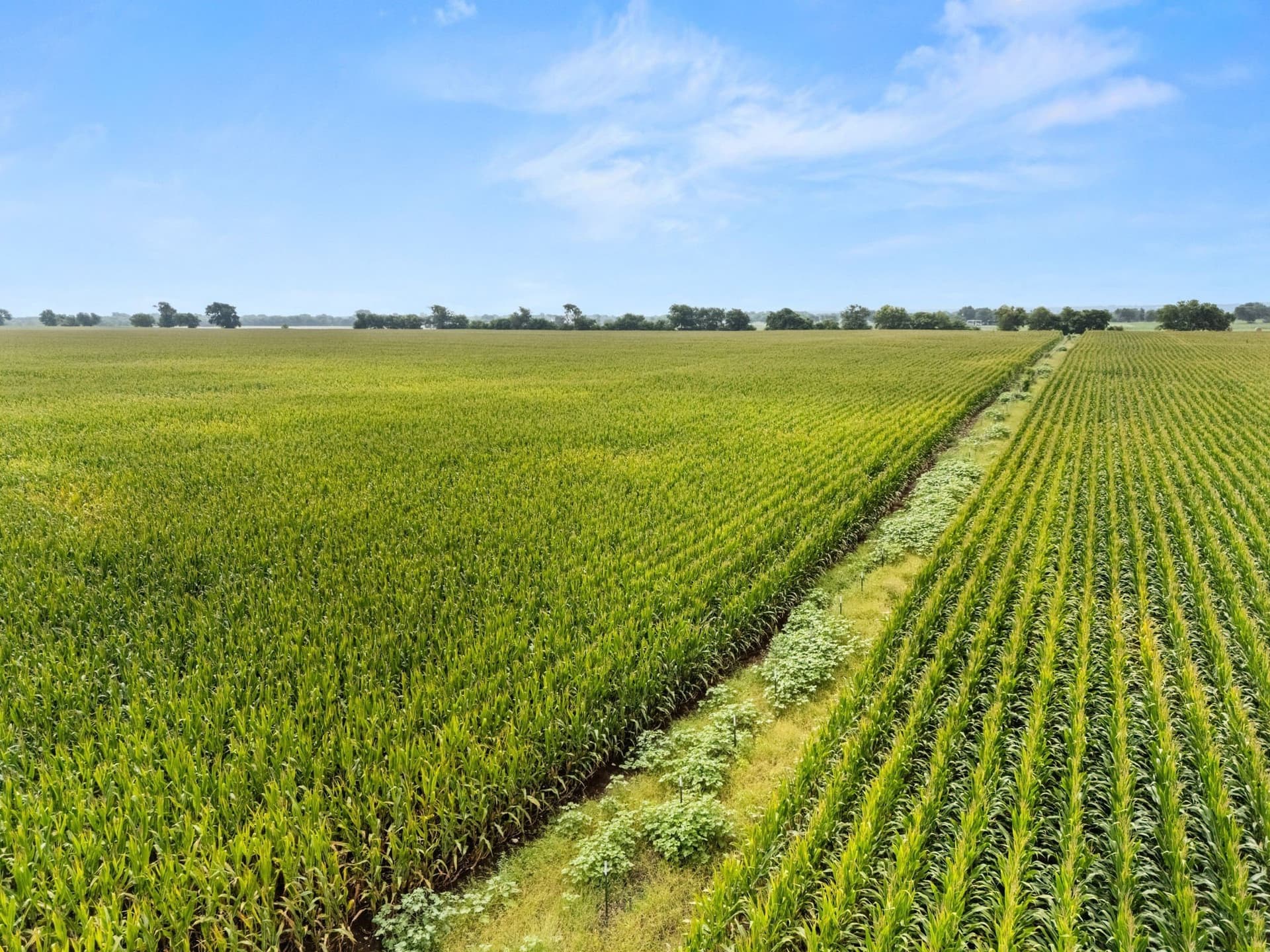 160 acres in McLennan County - photo 15