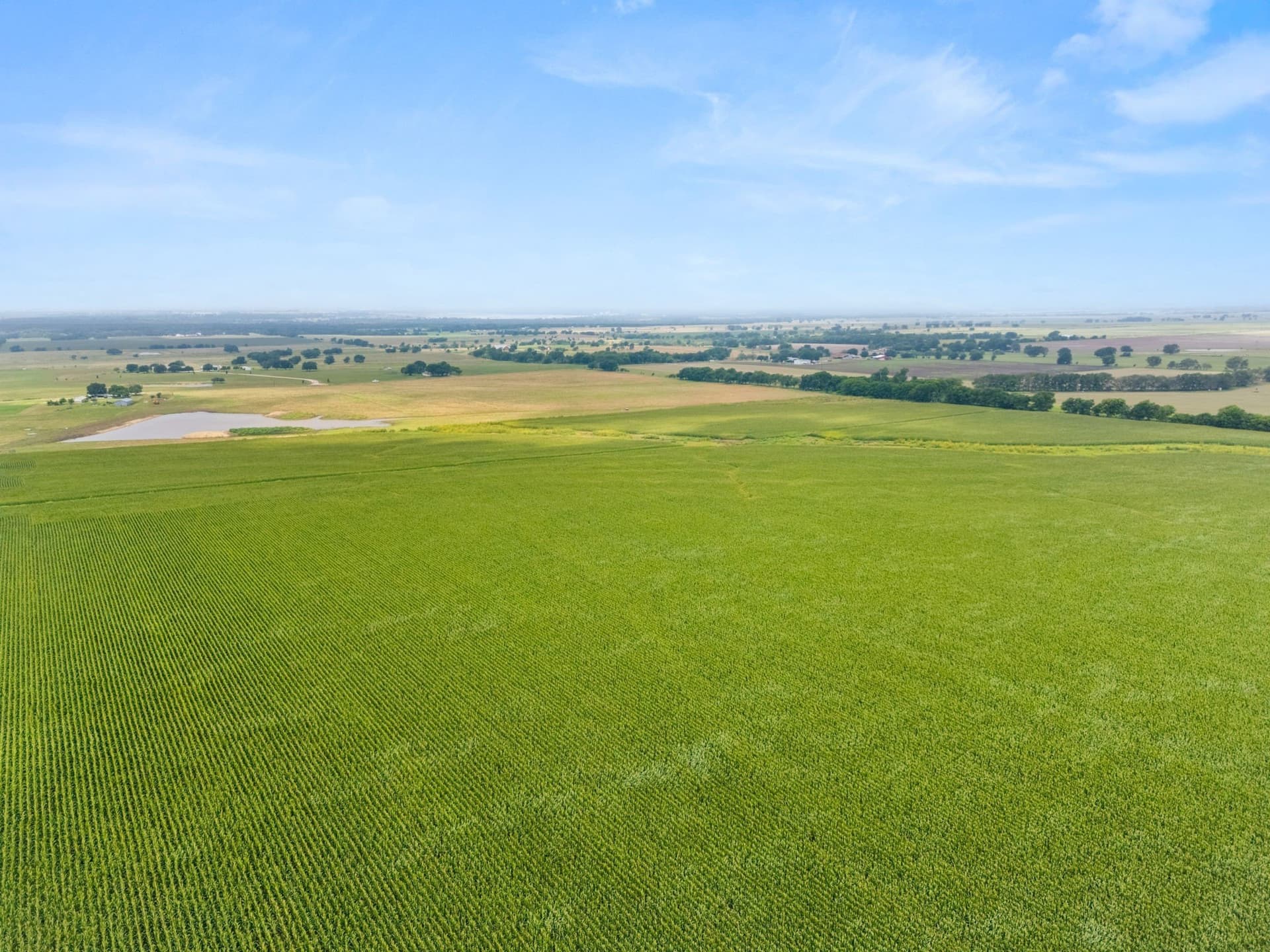 160 acres in McLennan County - photo 16