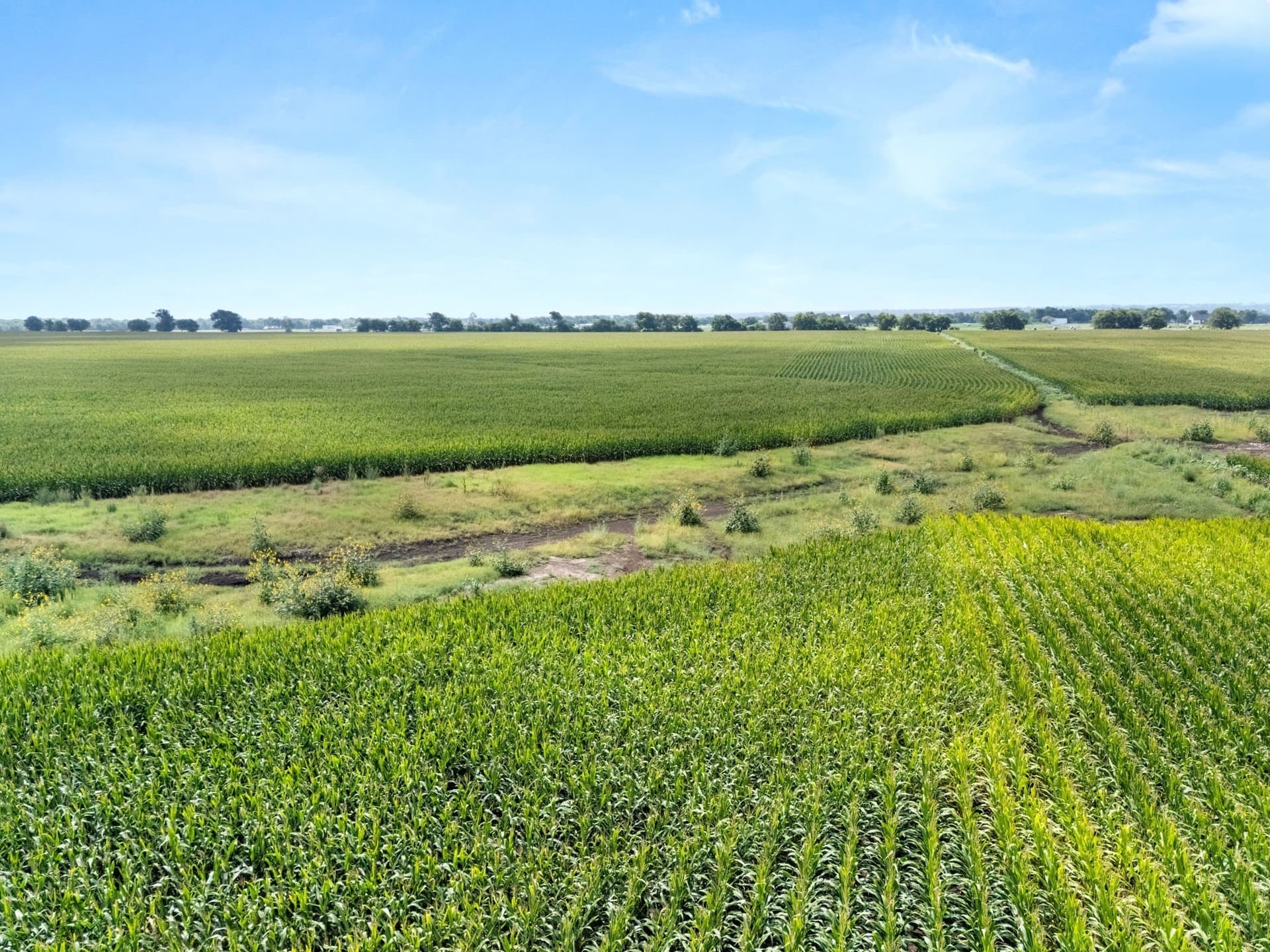 160 acres in McLennan County - photo 24