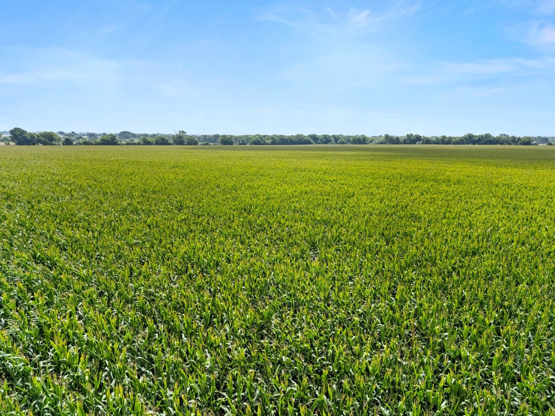160 acres in McLennan County - photo 22