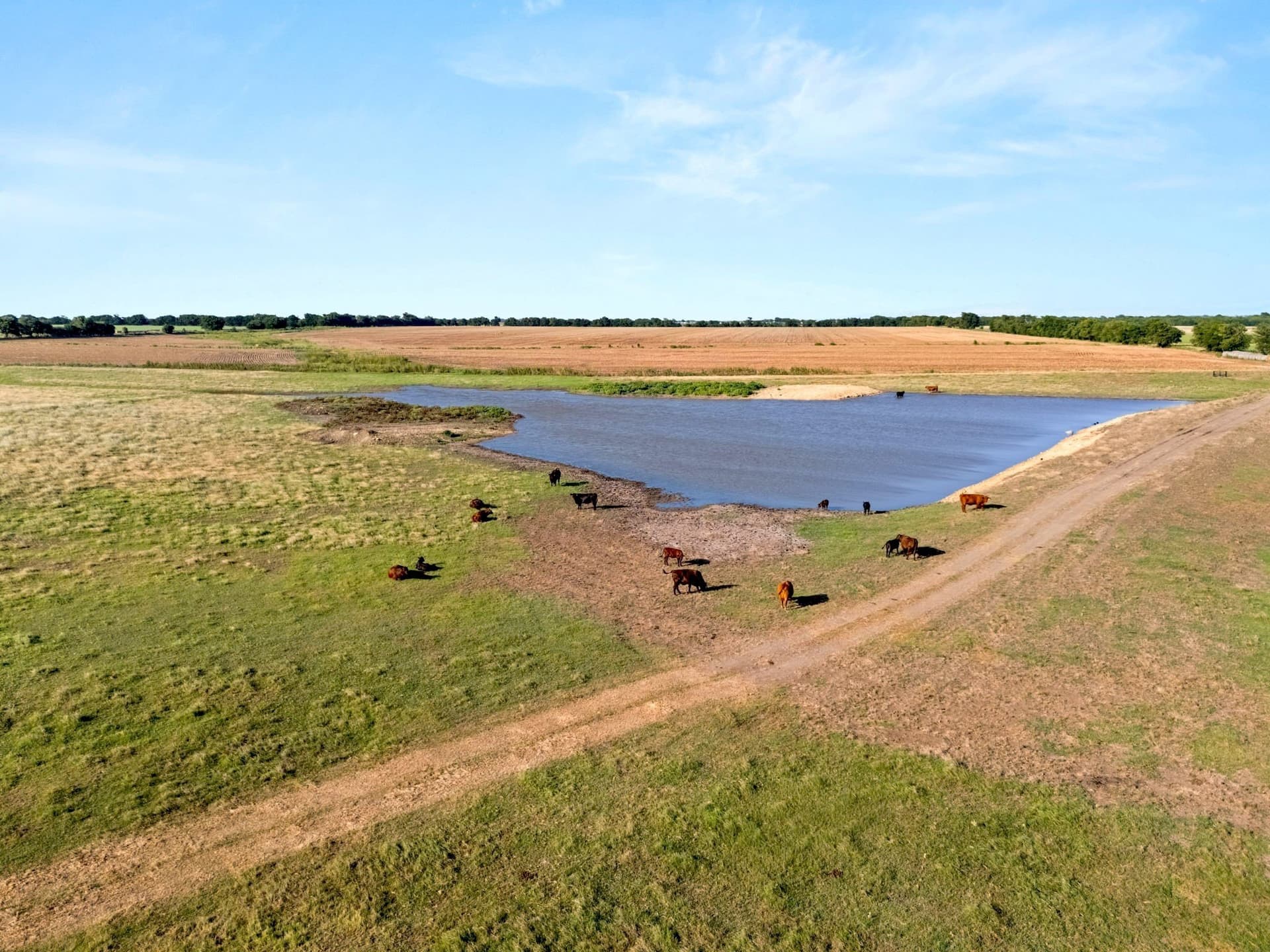 160 acres in McLennan County
