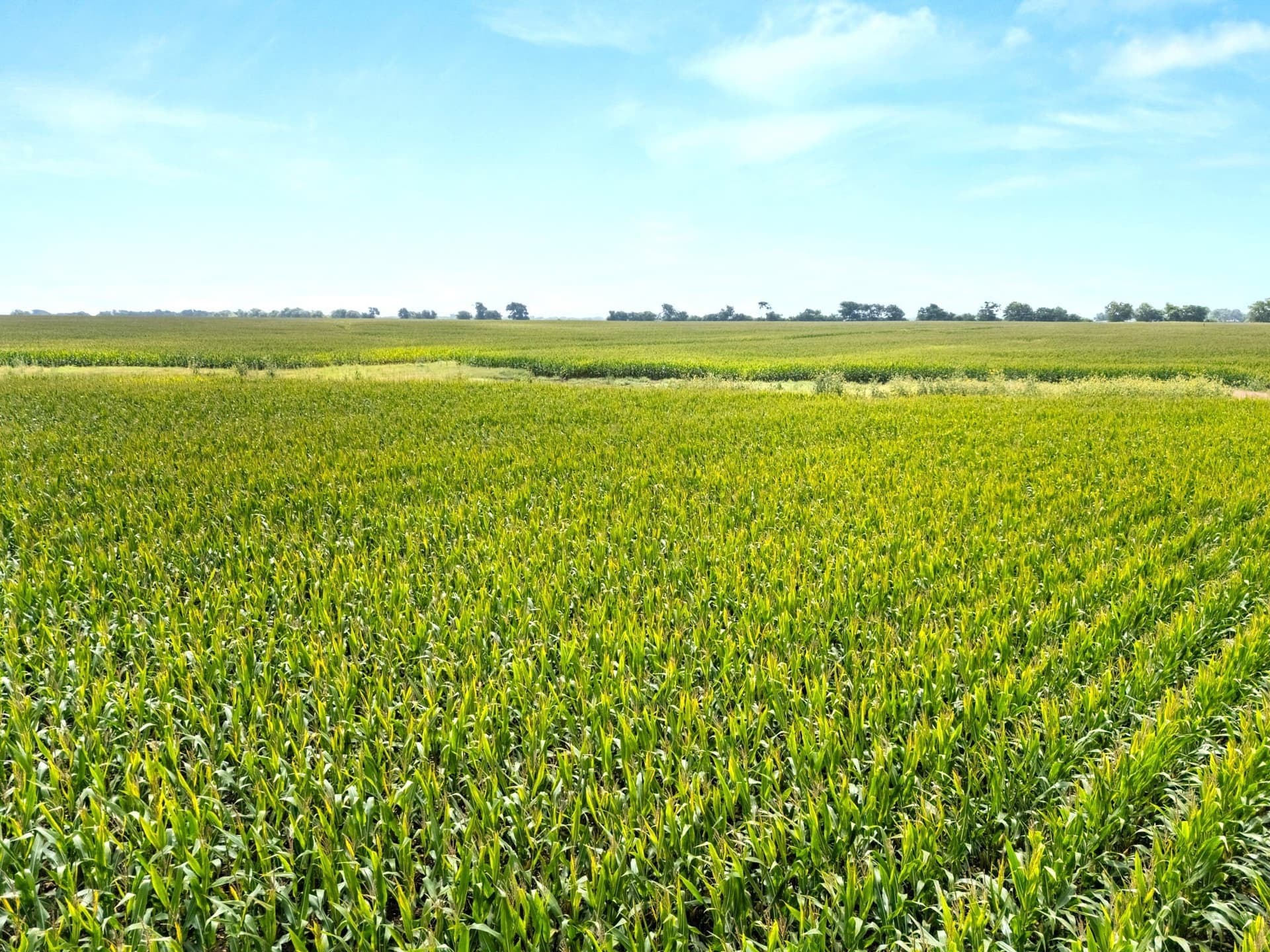 160 acres in McLennan County - photo 19