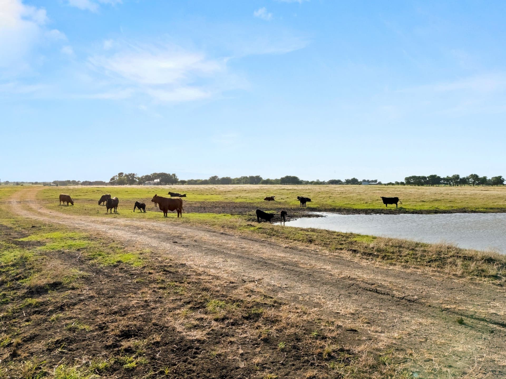 160 acres in McLennan County - photo 13
