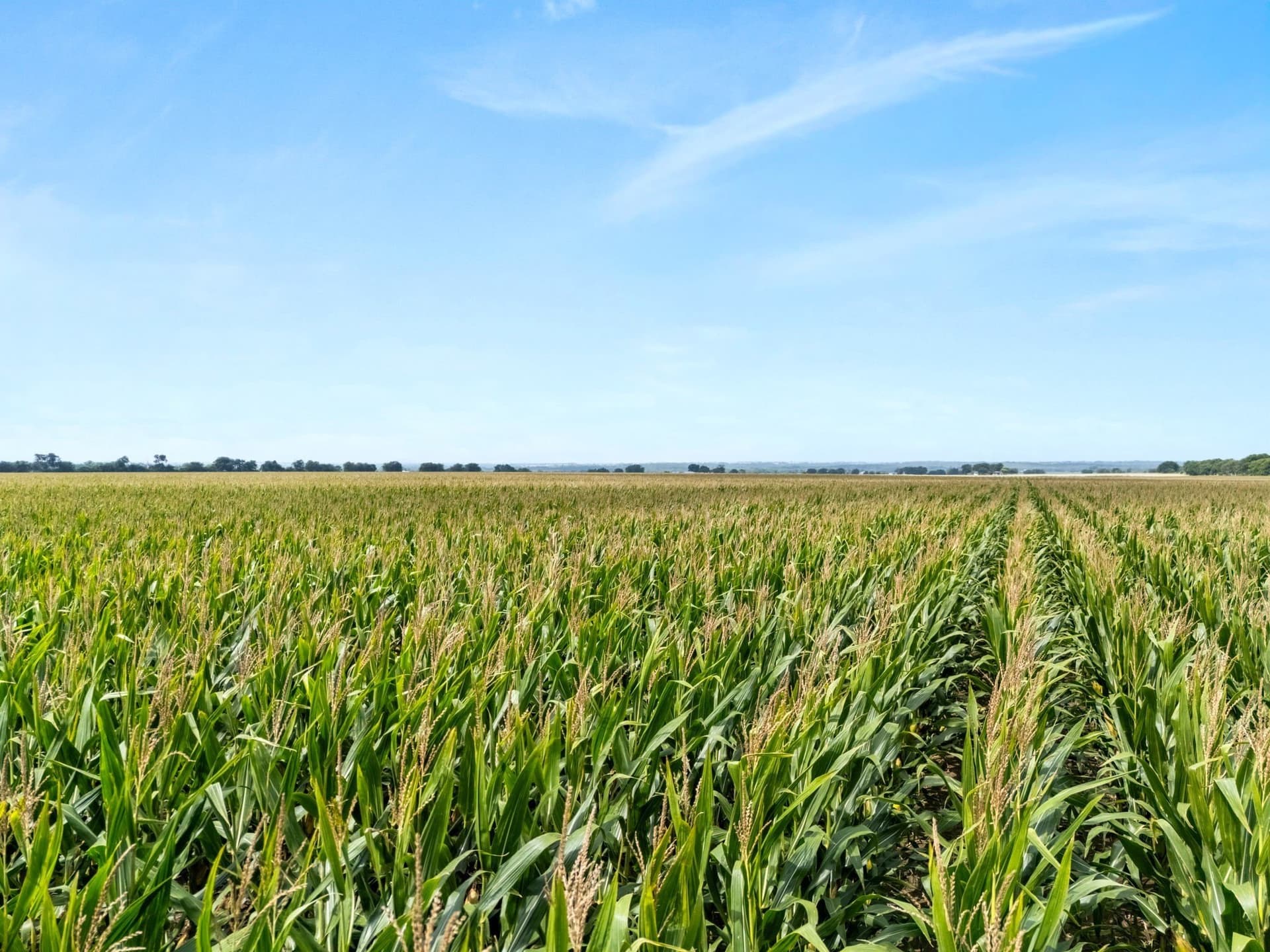 160 acres in McLennan County - photo 2