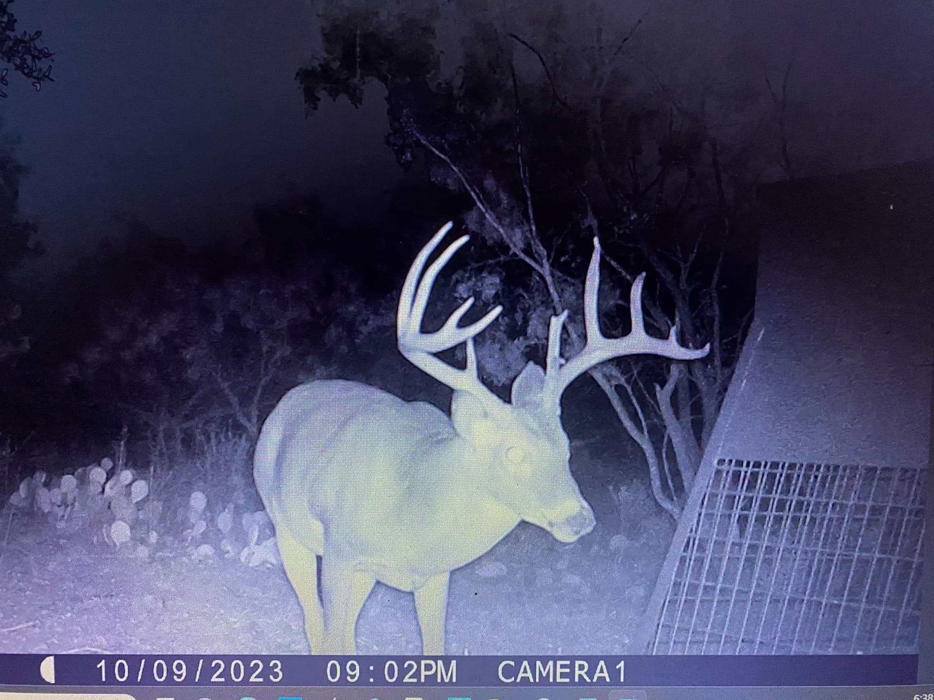 65 acres in Stephens County gallery image 2