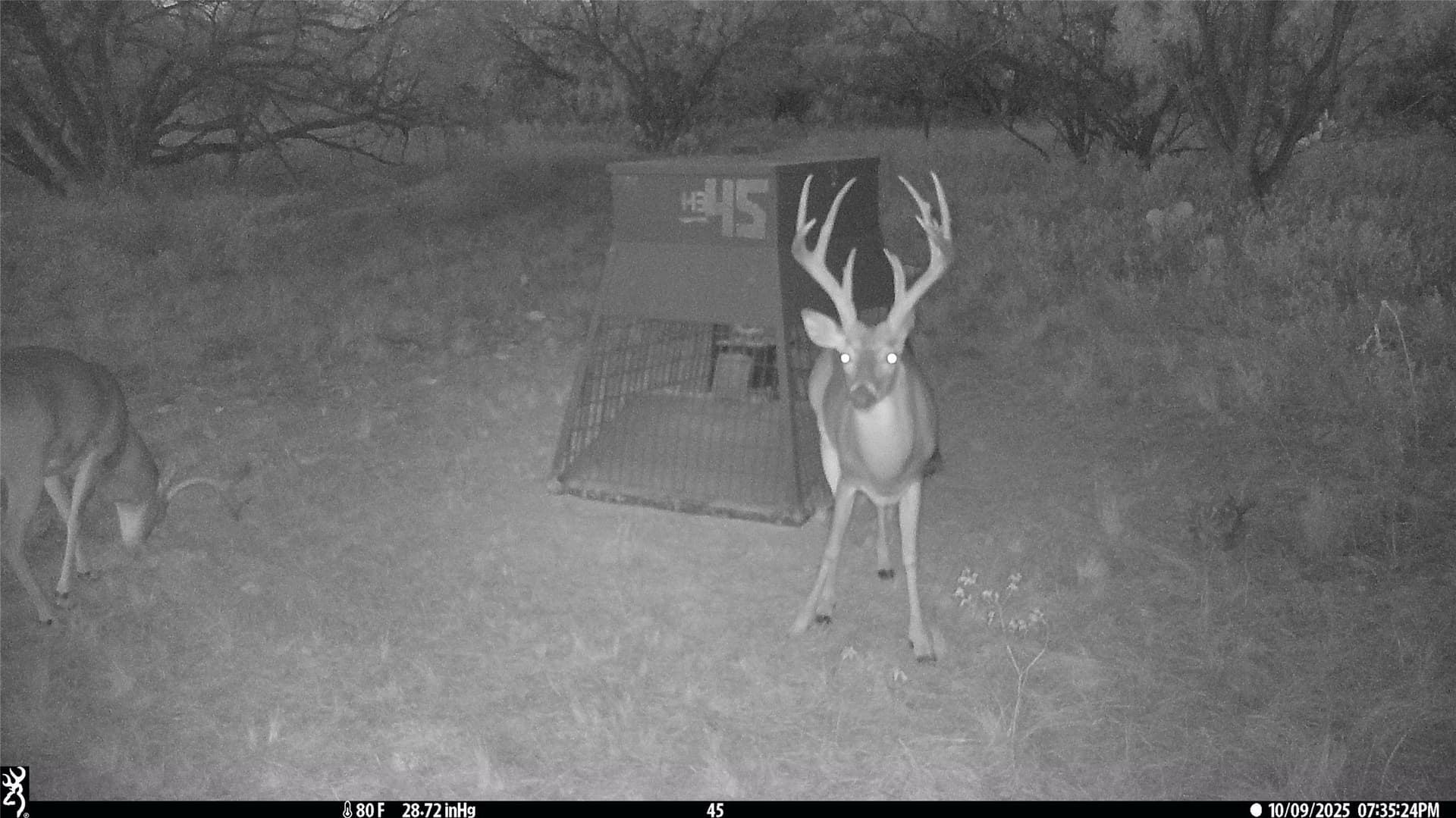 65 acres in Stephens County