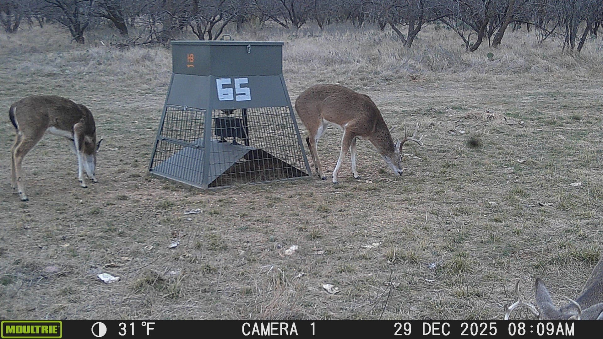 61.28 acres in Stephens County - photo 14