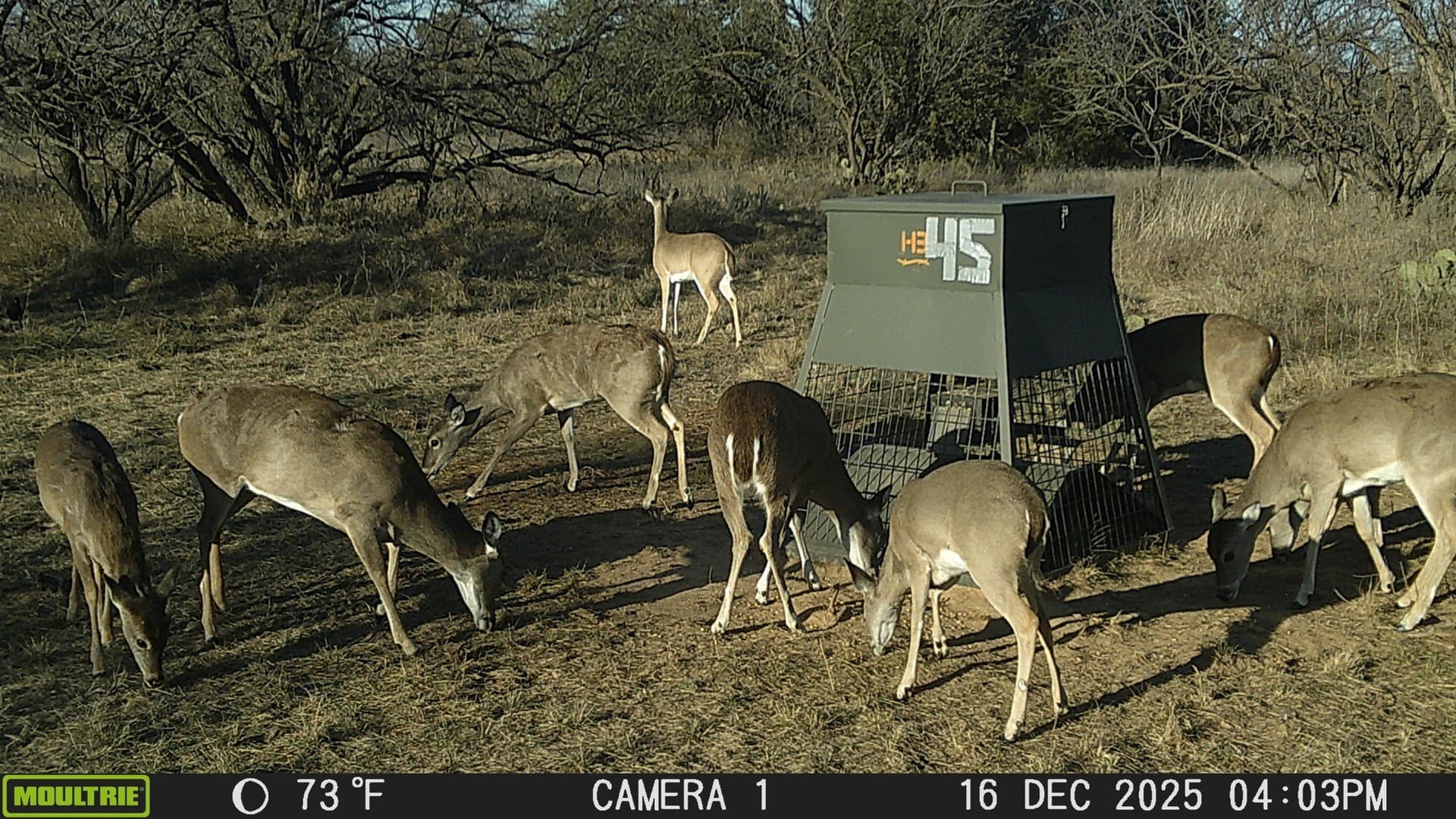 61.28 acres in Stephens County - photo 6