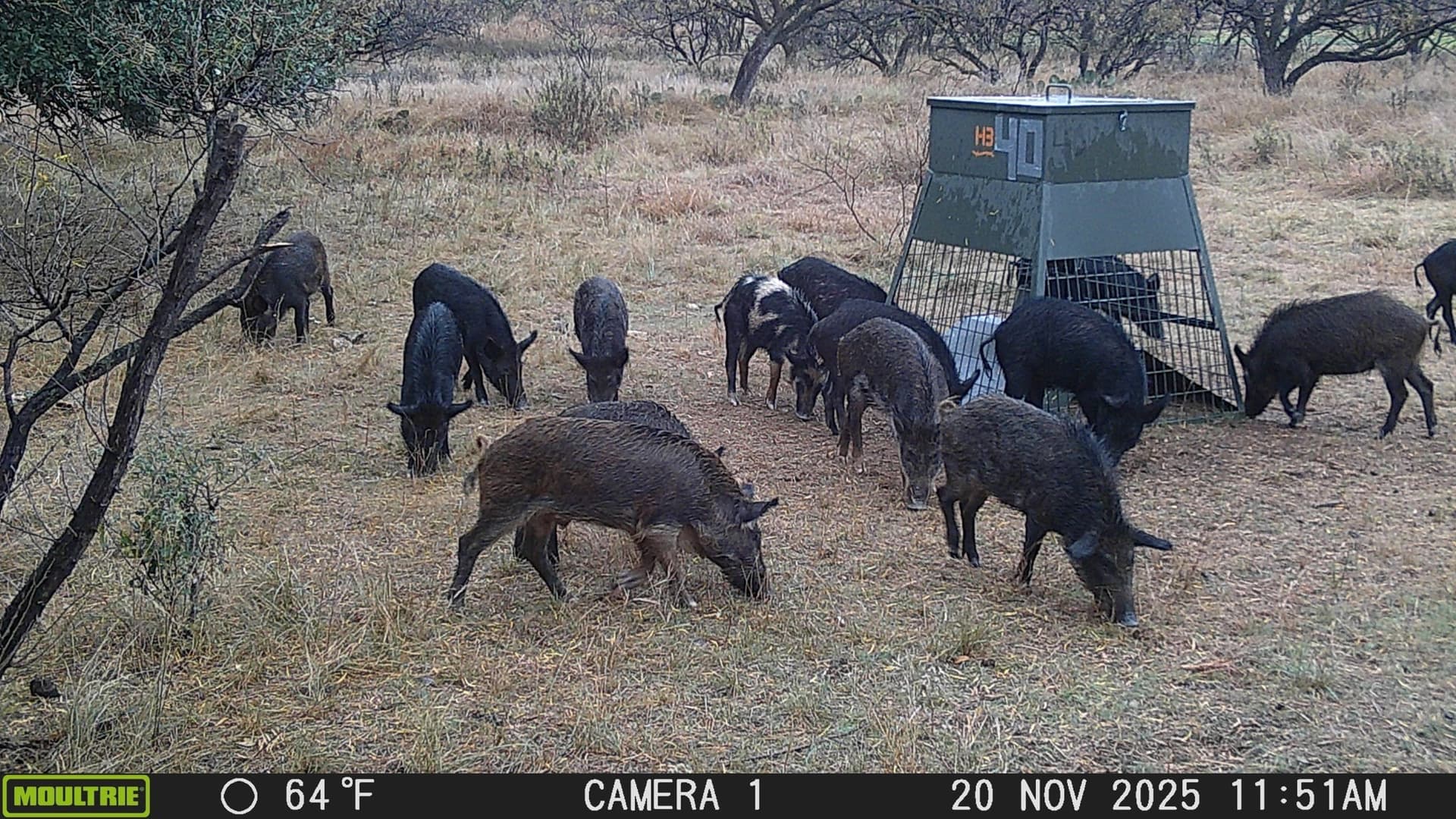 61.28 acres in Stephens County - photo 40