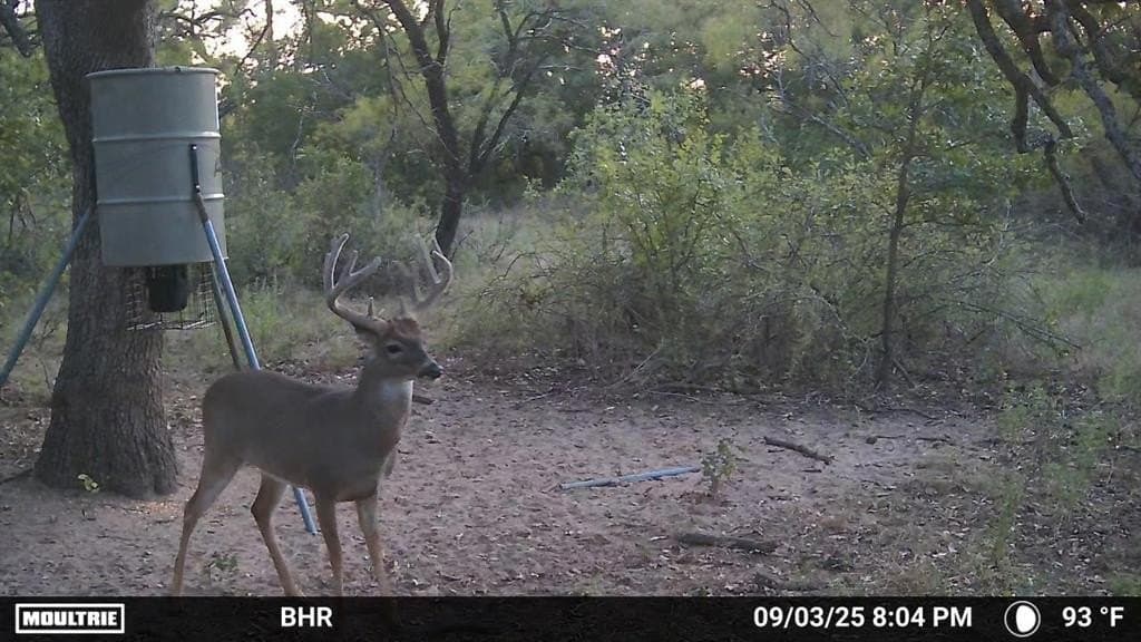 102.8 acres in Comanche County featured view