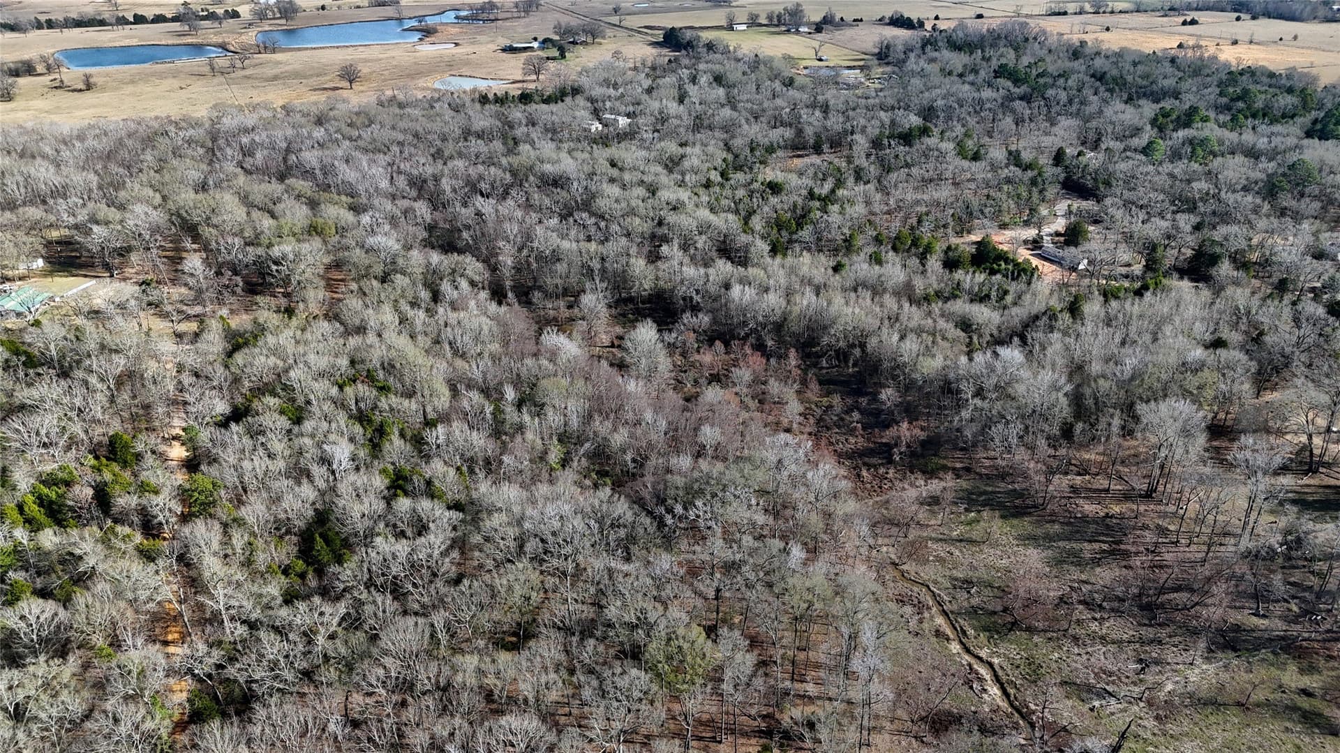 11.22 acres in Henderson County - photo 3