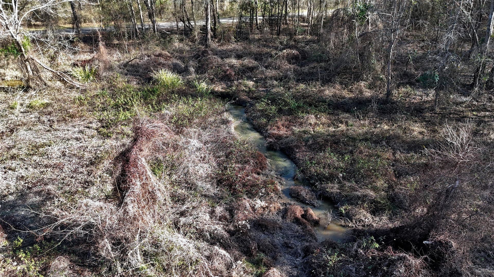 11.22 acres in Henderson County - photo 11