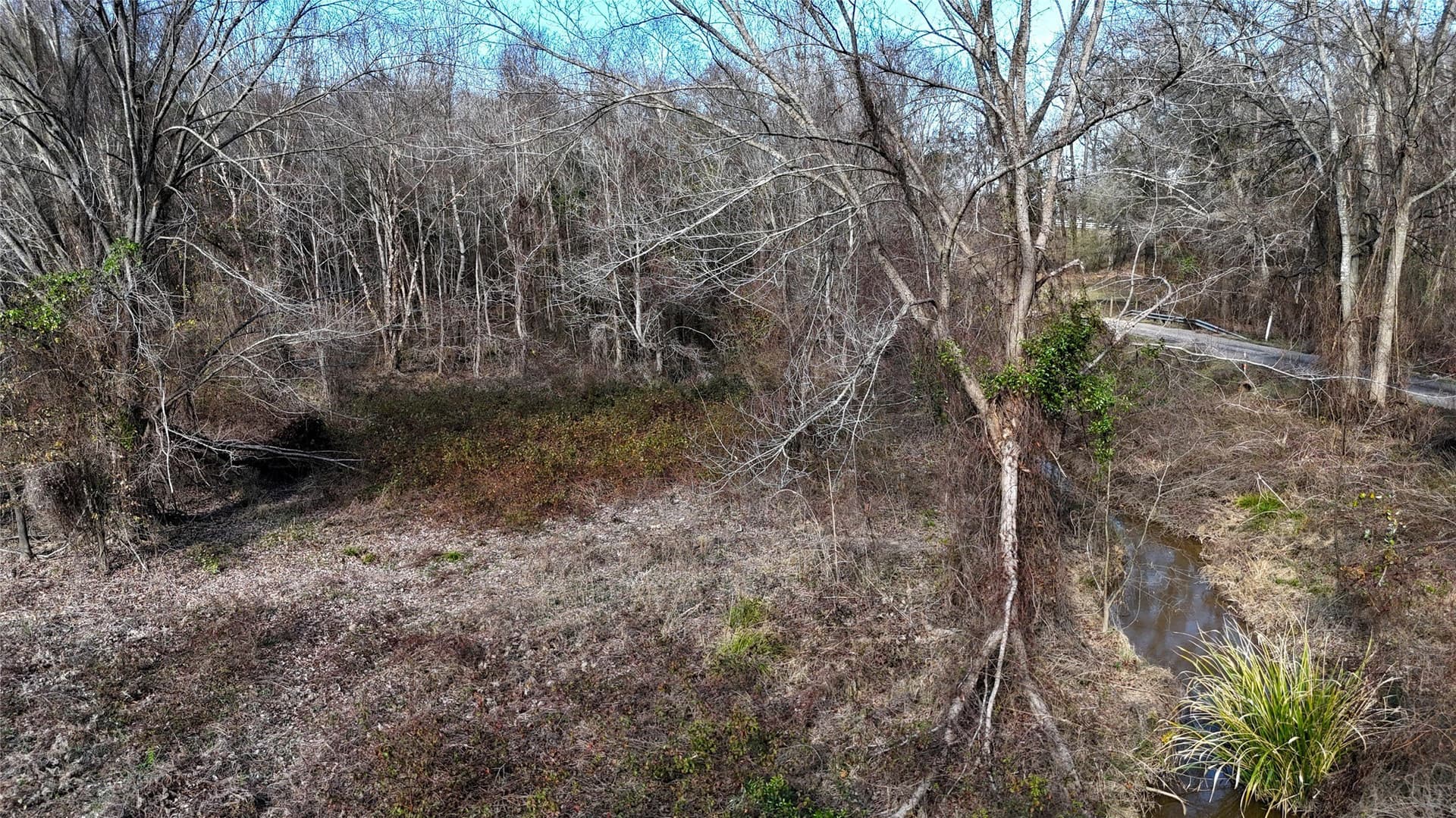 11.22 acres in Henderson County - photo 6