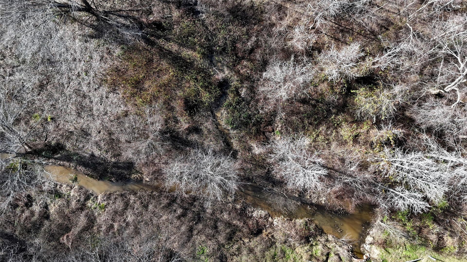11.22 acres in Henderson County - photo 7