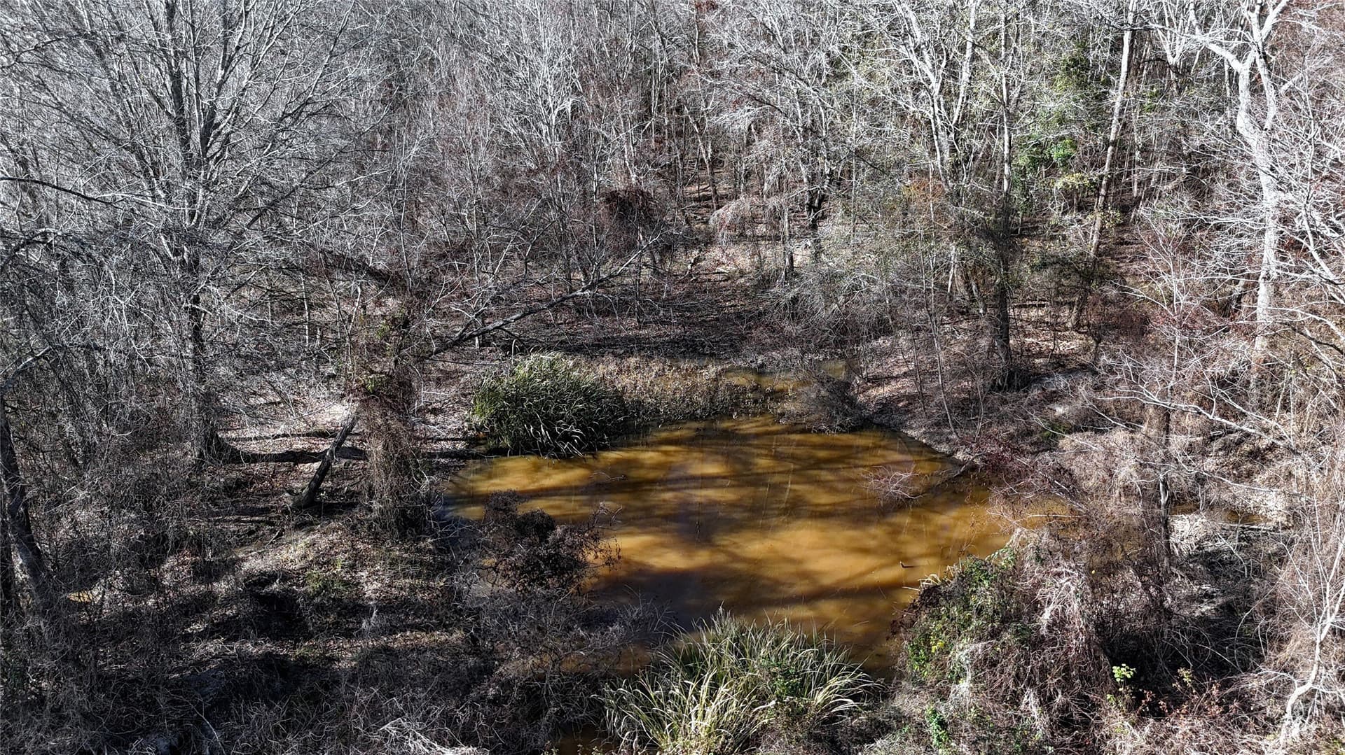 11.22 acres in Henderson County - photo 10