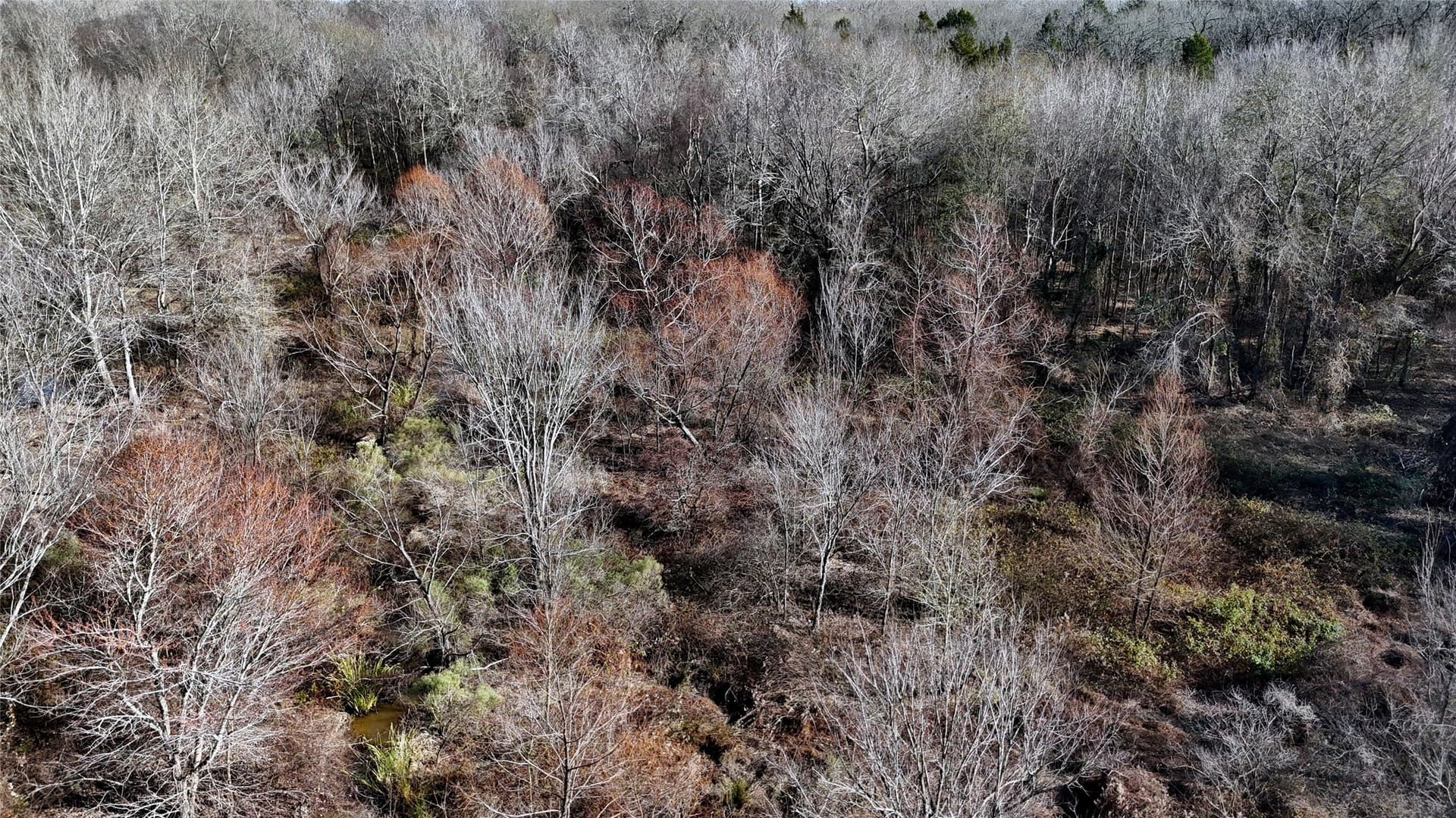 11.22 acres in Henderson County - photo 5
