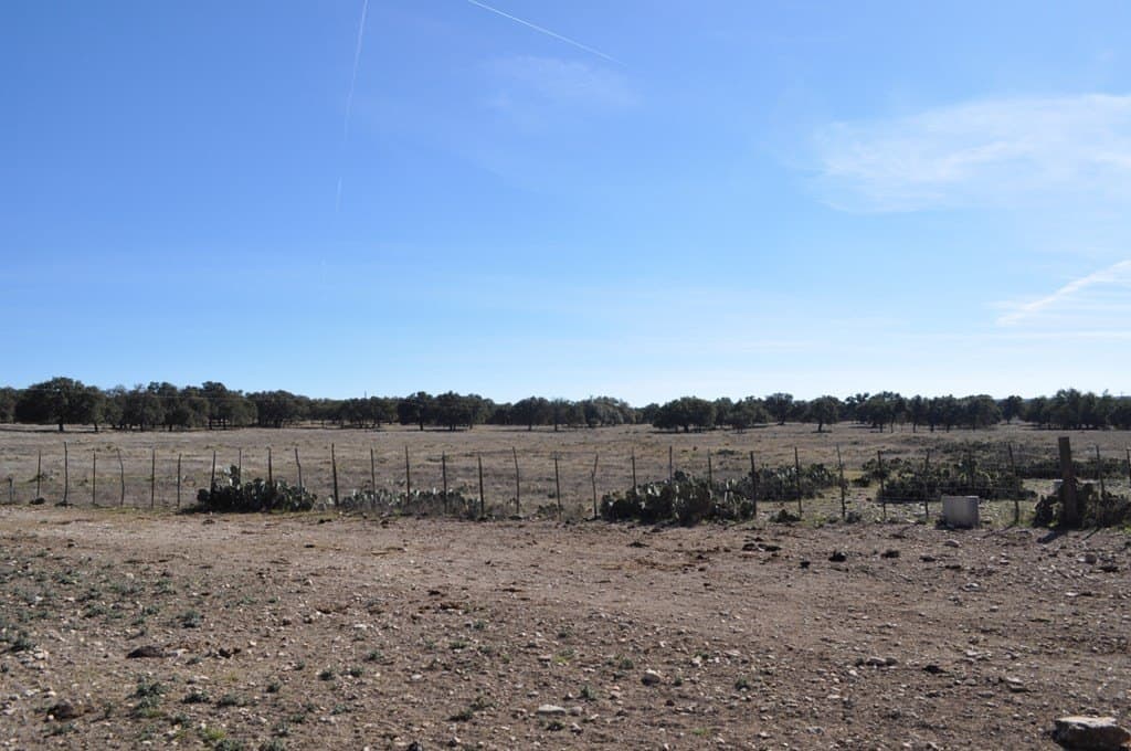 10.01 acres in Kimble County - photo 12