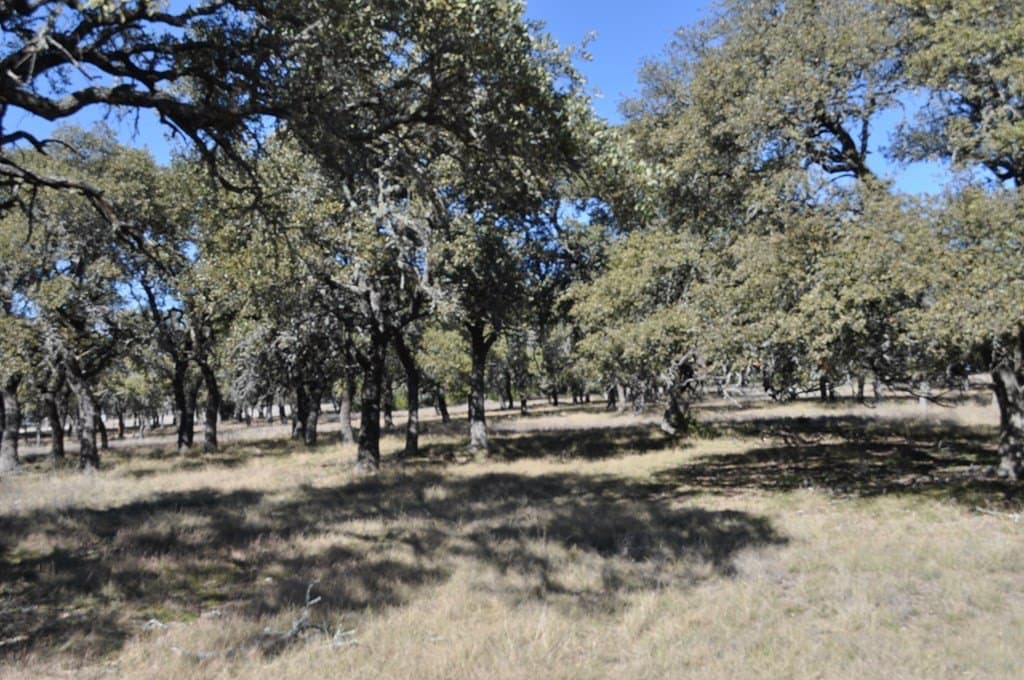 10.01 acres in Kimble County - photo 2