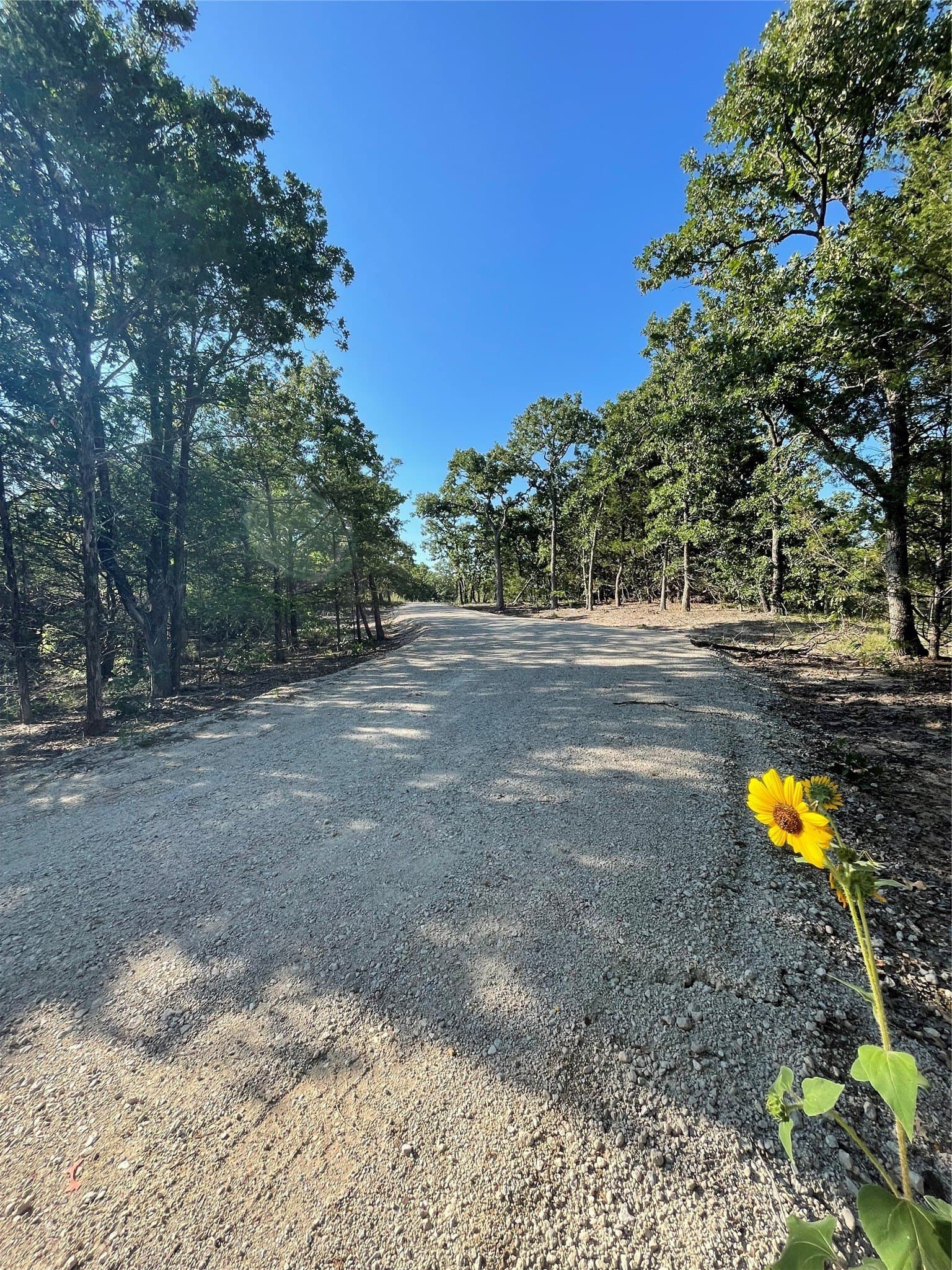5 acres in Cooke County - photo 7