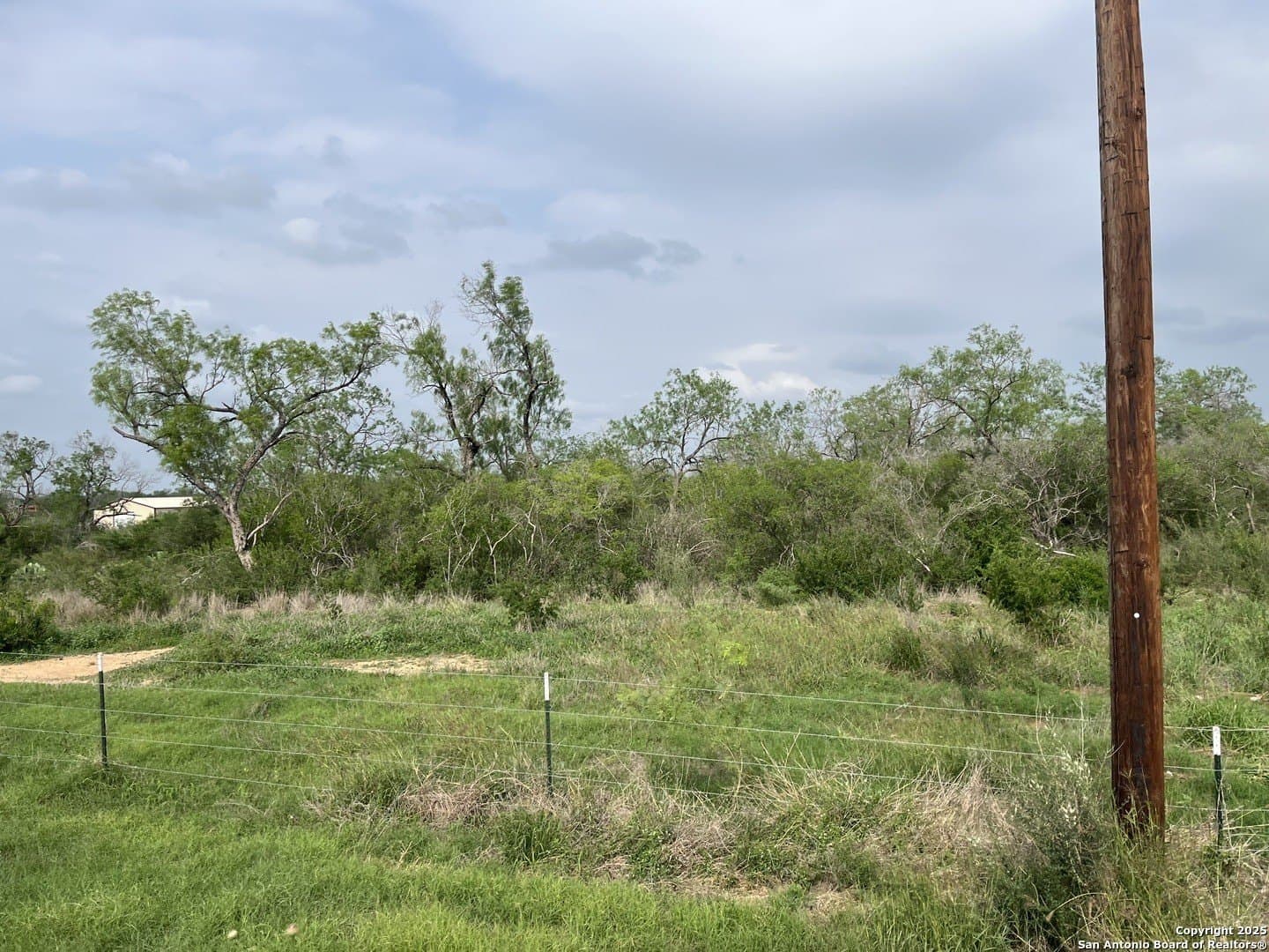 11 acres in Frio County - photo 4