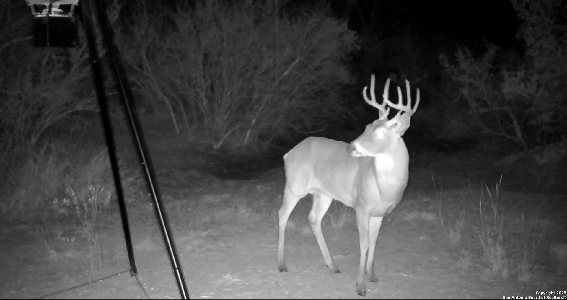11 acres in Frio County - photo 6