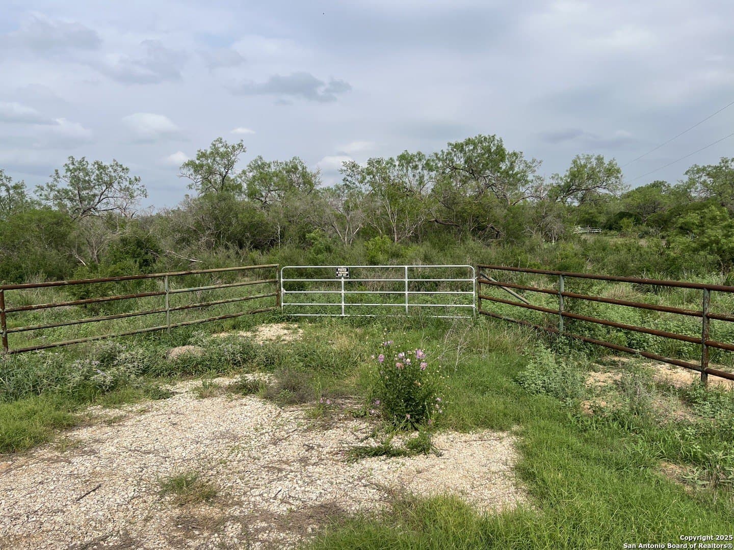 11 acres in Frio County