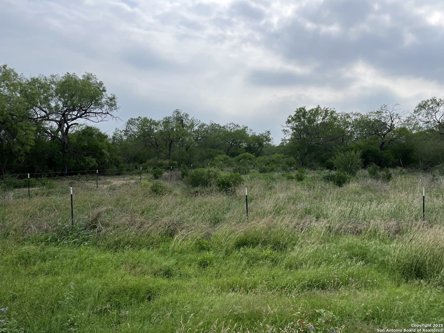 11 acres in Frio County - photo 3