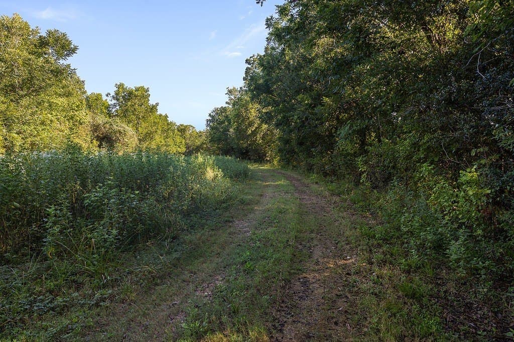 36.66 acres in Fort Bend County - photo 20