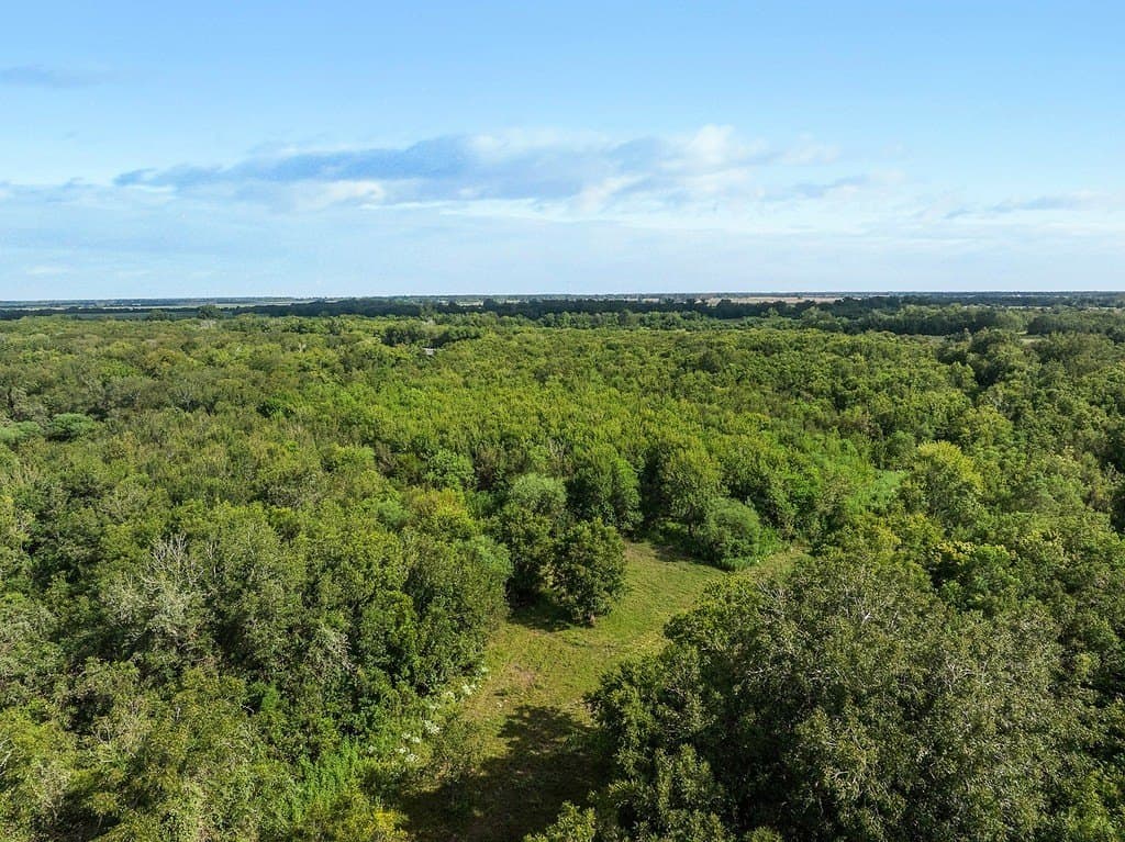 36.66 acres in Fort Bend County - photo 13