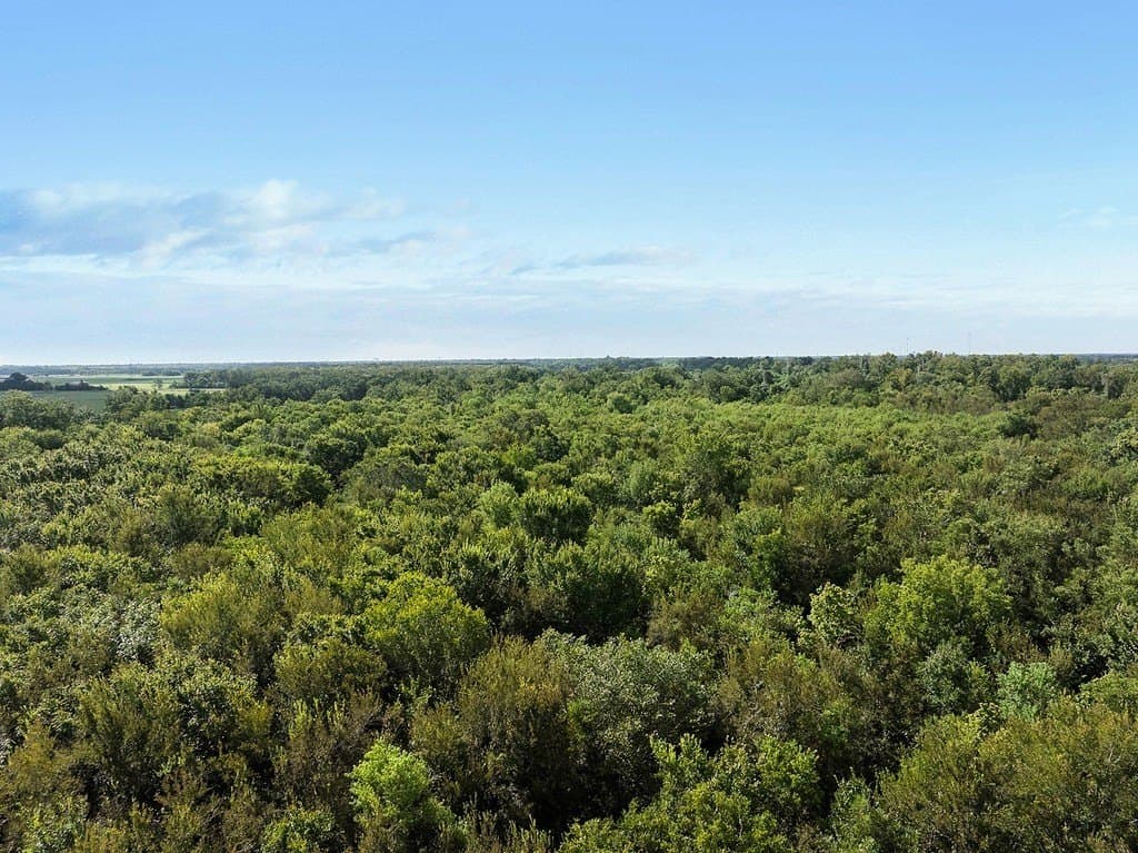 36.66 acres in Fort Bend County - photo 14