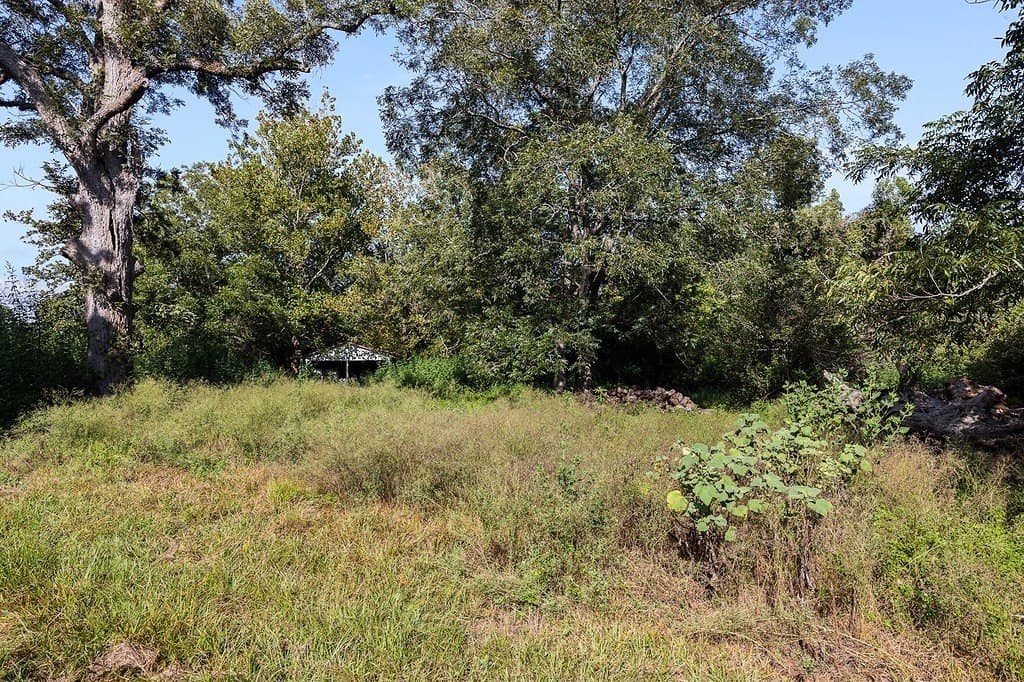36.66 acres in Fort Bend County - photo 17