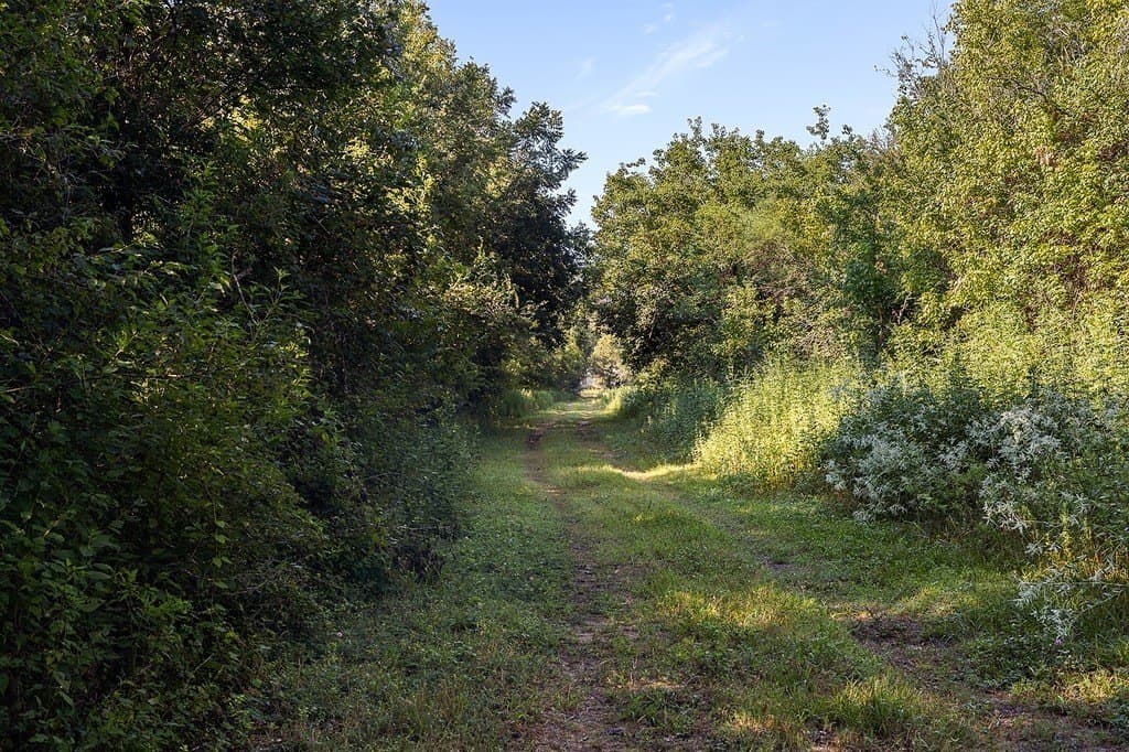 36.66 acres in Fort Bend County - photo 19
