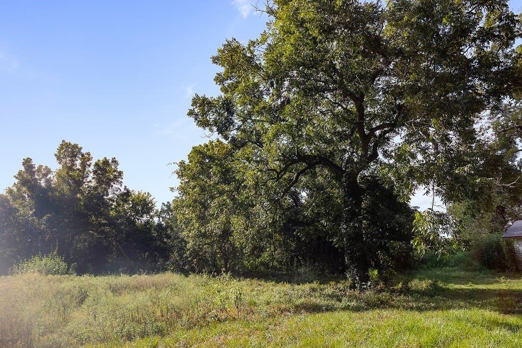 36.66 acres in Fort Bend County - photo 18