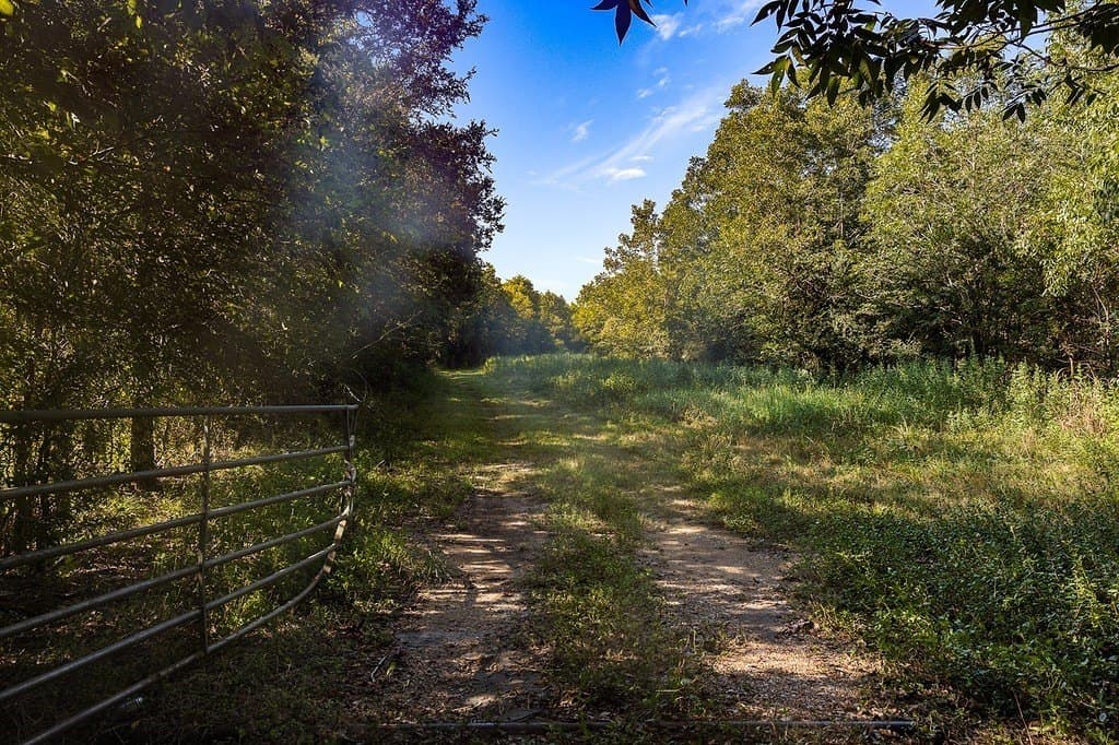 36.66 acres in Fort Bend County - photo 21