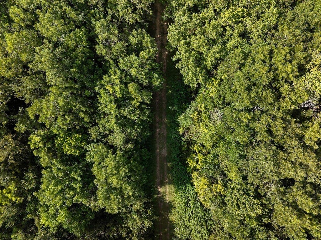 36.66 acres in Fort Bend County - photo 15