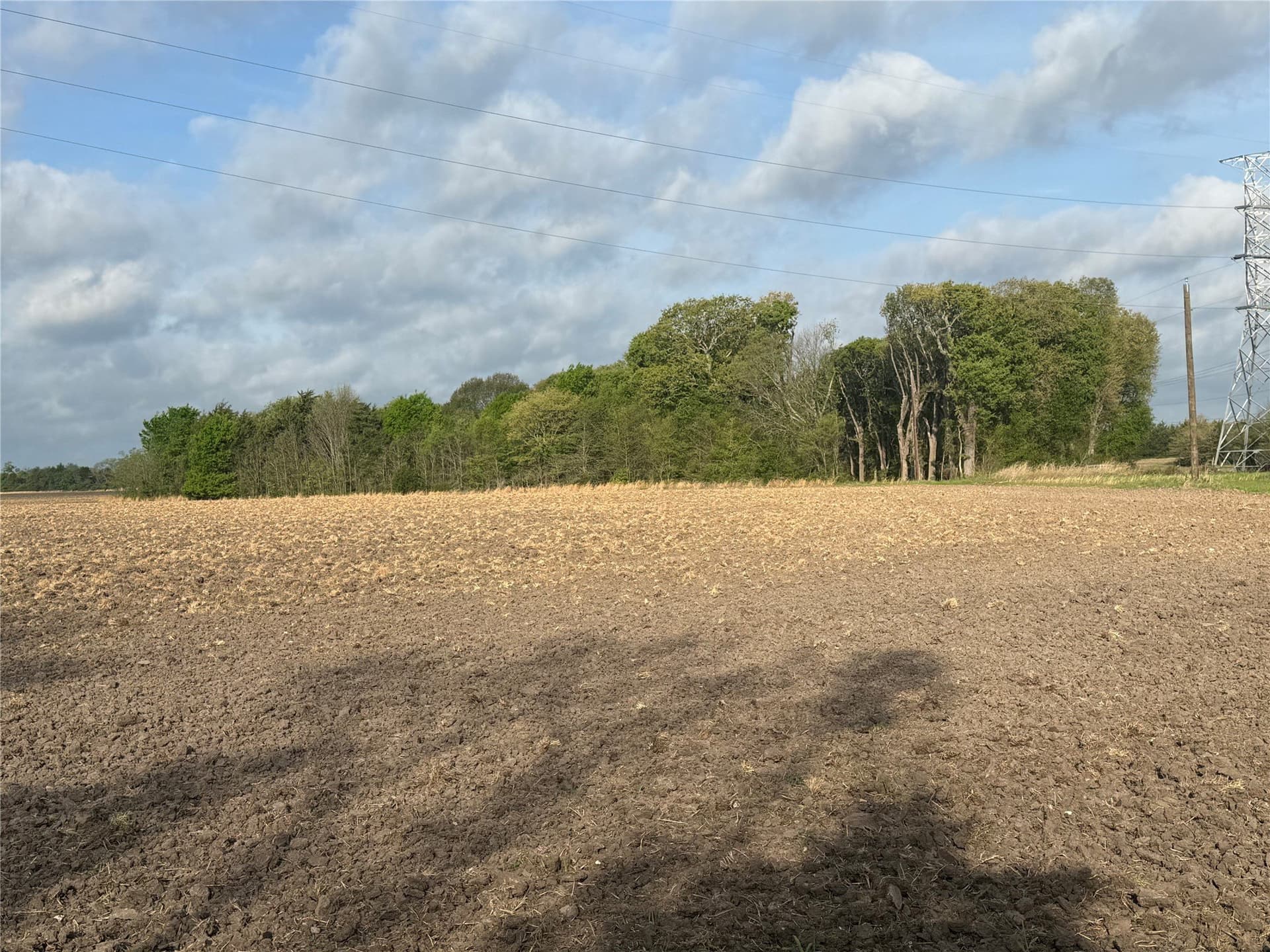 19.78 acres in Fannin County gallery image 2