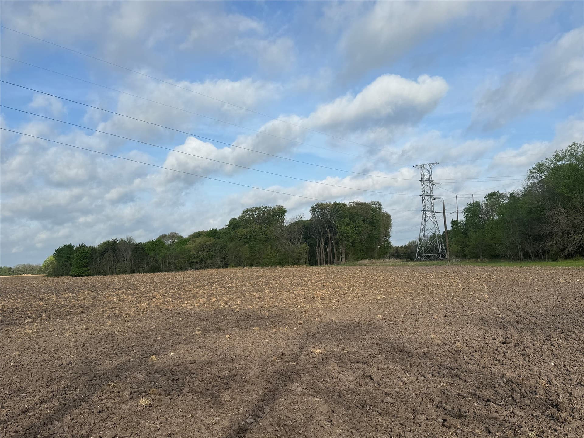 19.78 acres in Fannin County featured view