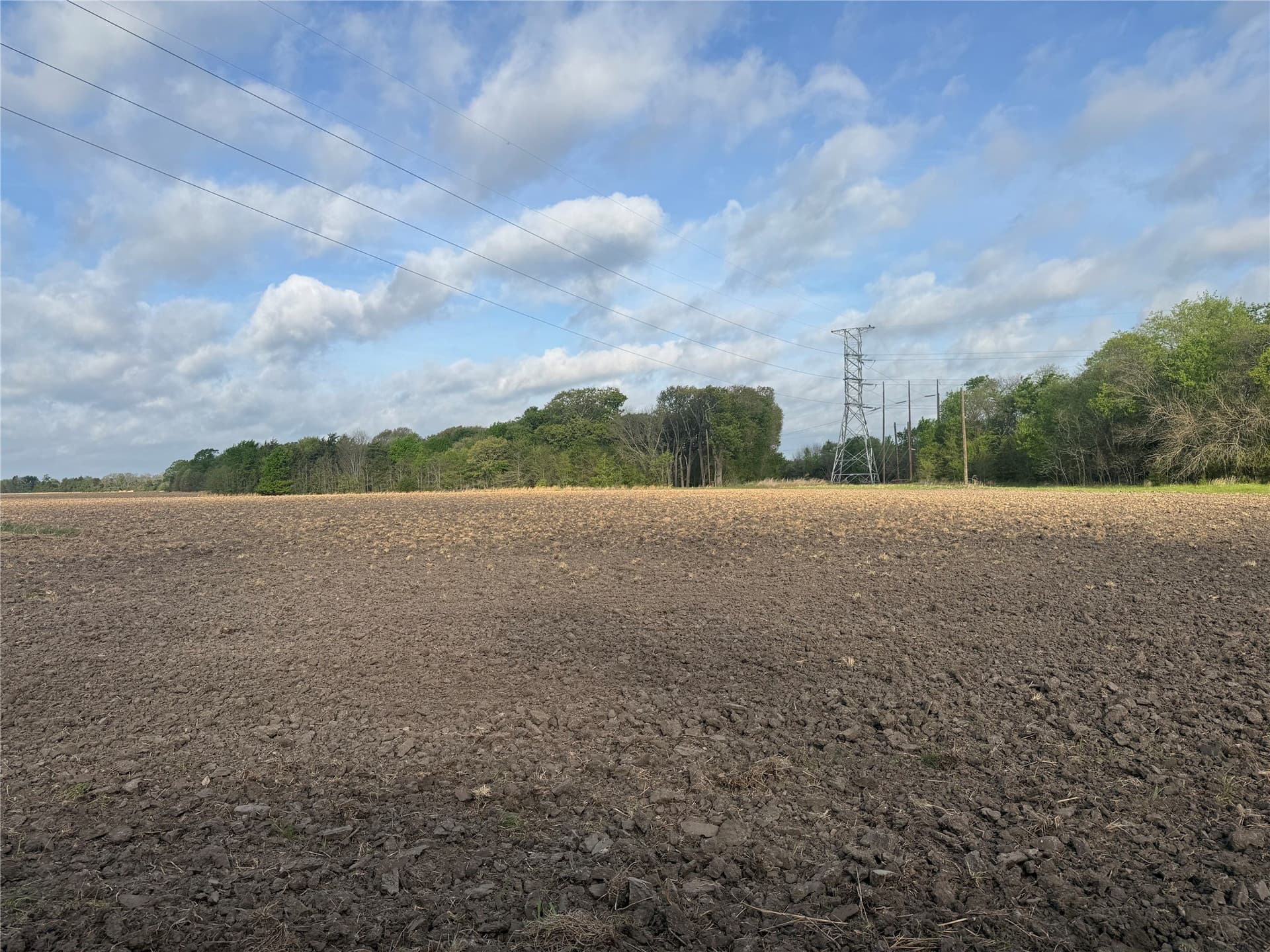 19.78 acres in Fannin County - photo 8