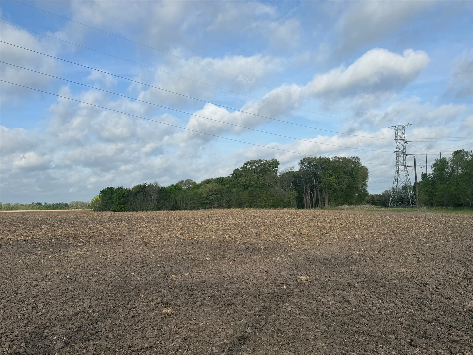 19.78 acres in Fannin County - photo 9