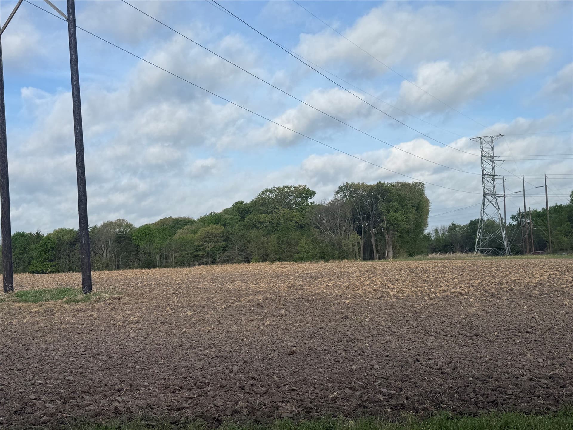 19.78 acres in Fannin County gallery image 3