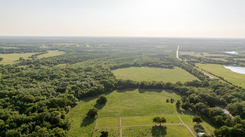 151.6 acres in Fannin County - photo 5