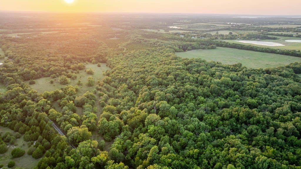151.6 acres in Fannin County - photo 10