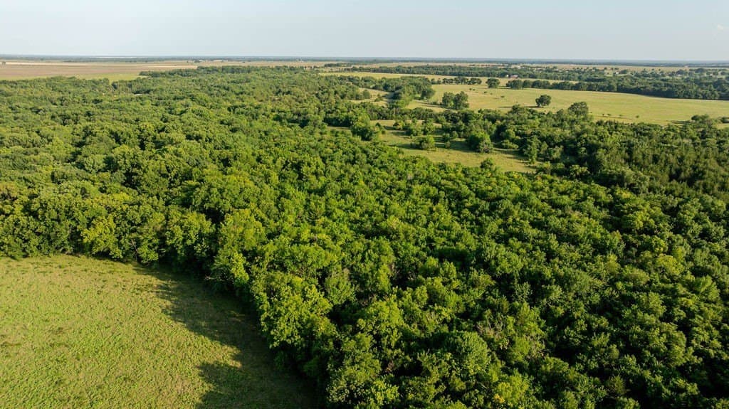151.6 acres in Fannin County - photo 7
