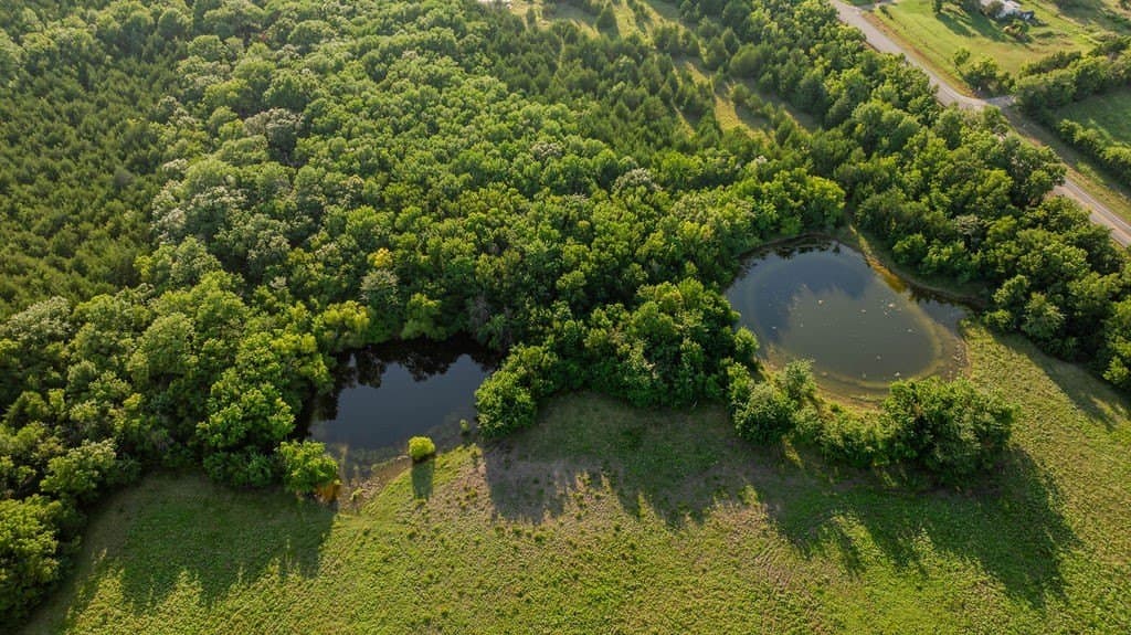 151.6 acres in Fannin County - photo 6