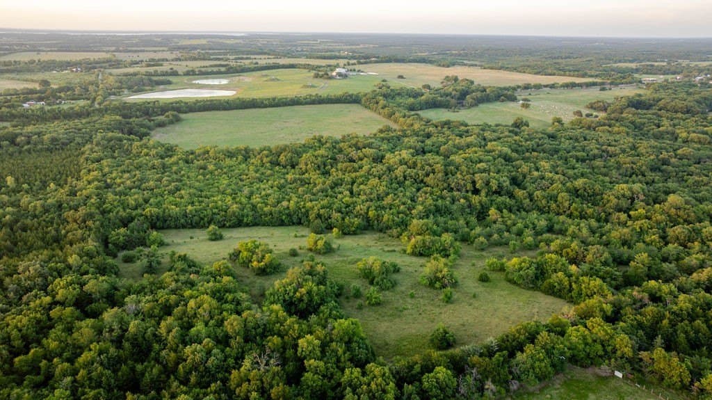 151.6 acres in Fannin County - photo 9