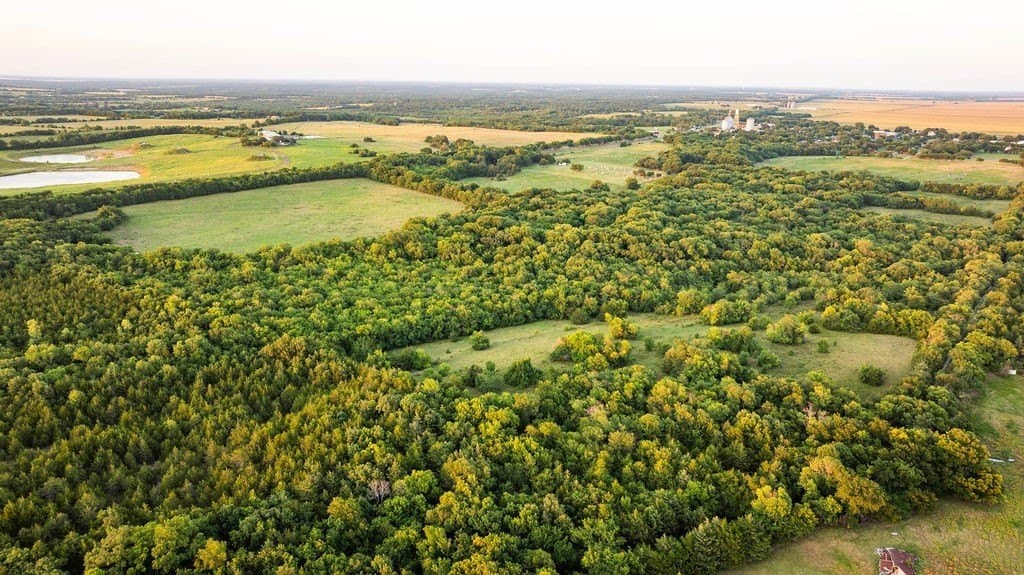 151.6 acres in Fannin County - photo 8