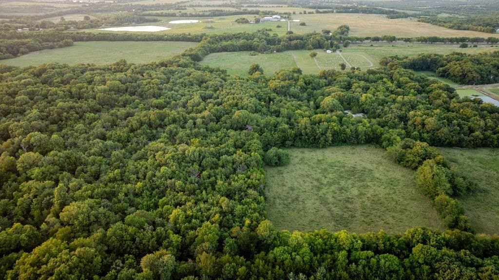 151.6 acres in Fannin County - photo 11