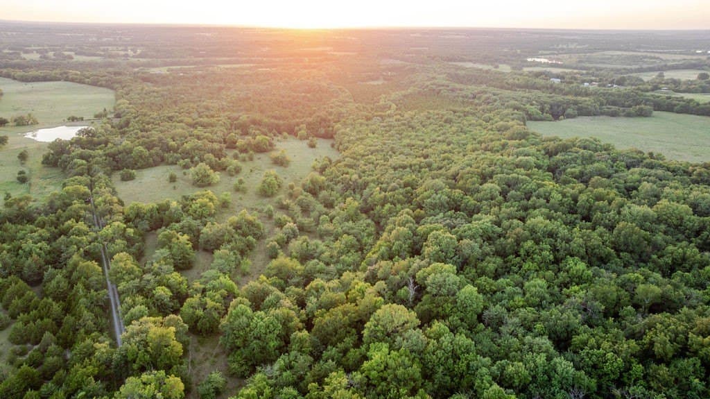 151.6 acres in Fannin County - photo 15
